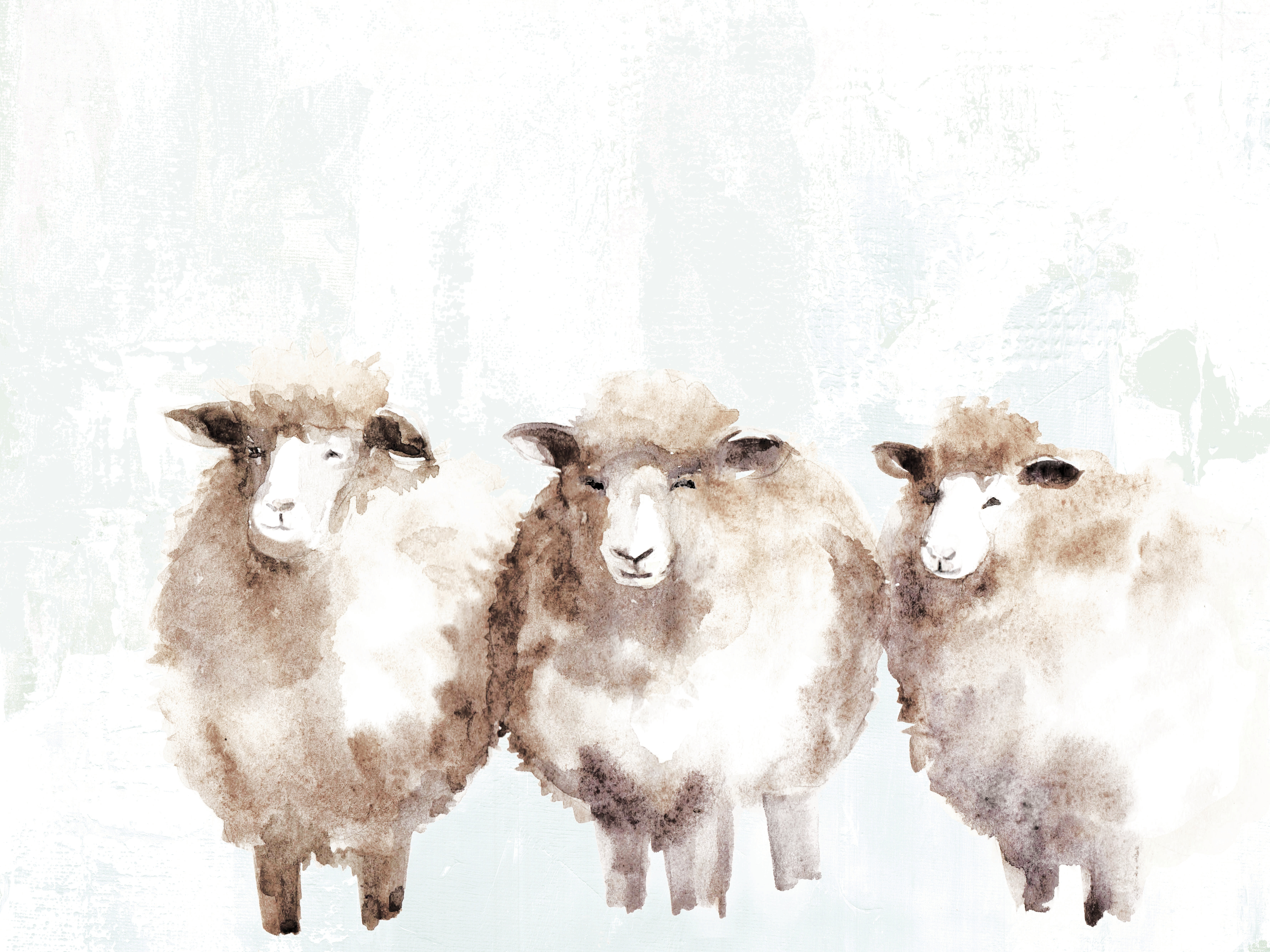 Laurel Foundry Modern Farmhouse Watercolor Sheep Print On Canvas